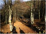 Podbrdo - Planina Za Črno goro